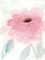 Blush Peony I Poster Print by Beverly Dyer - Item # VARPDXBD5RC006A2